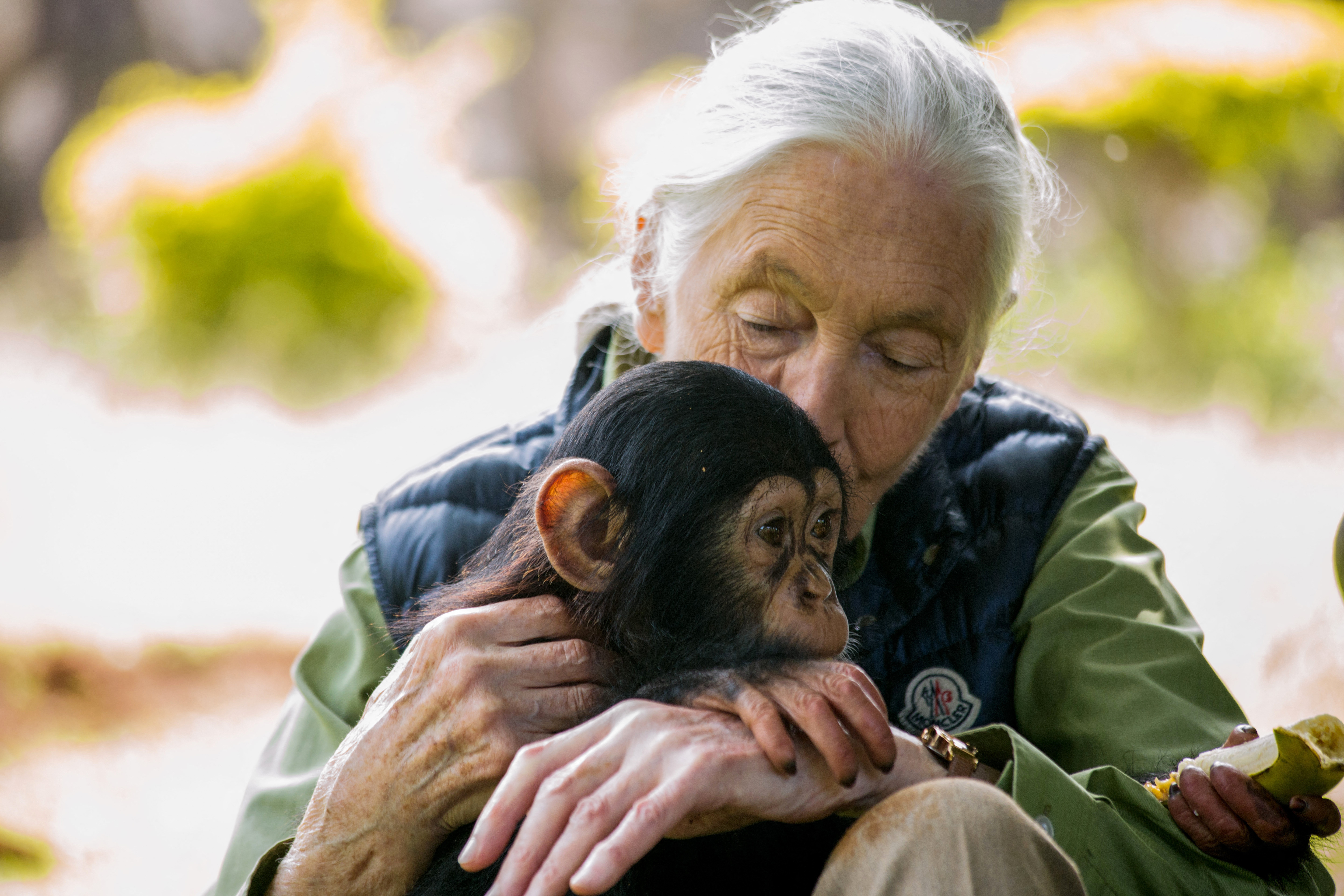 Jane Goodall was scheduled for LA events before her death – NBC
