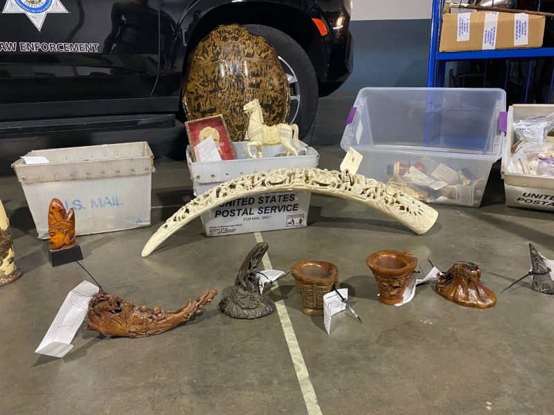 Ivory-Trade-2.jpg?quality=85&
