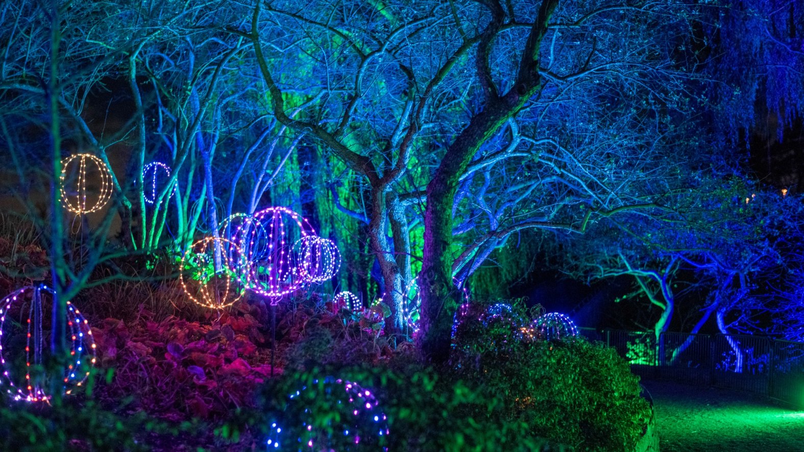 Lightscape Encinitas Encinitas Illuminated: Roam a lovely ‘Lightscape’ at San Diego Botanic ...