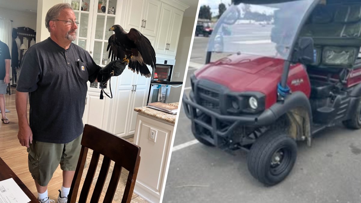 One of Two Hawks Stolen from SoFi Stadium Found Safe in Hacienda Heights