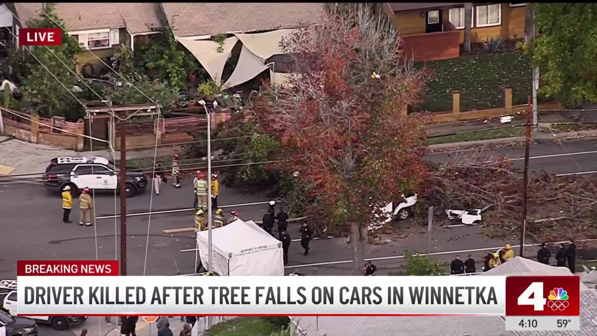 Tree crashes onto cars in Winnetka, killing a driver – NBC Los Angeles