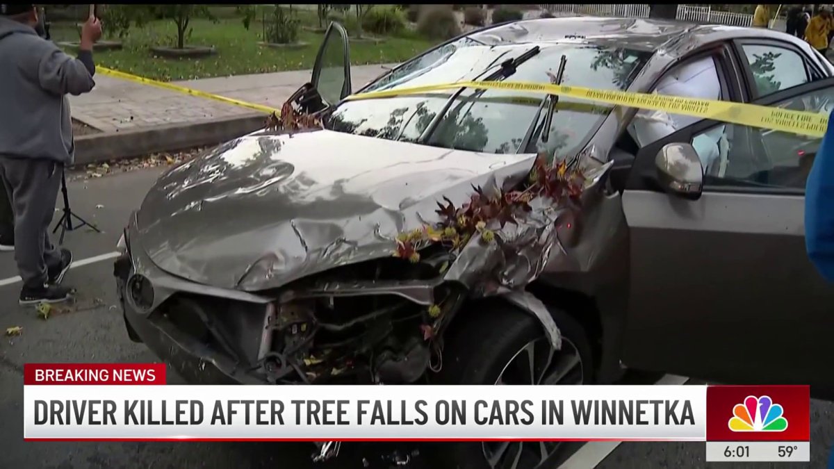 Driver narrowly escapes death after tree falls on 2 cars in Winnetka ...