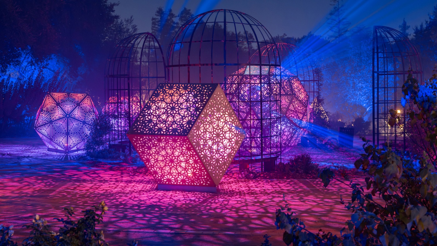 Glowing tulips are spectacularly sprouting at Descanso Gardens