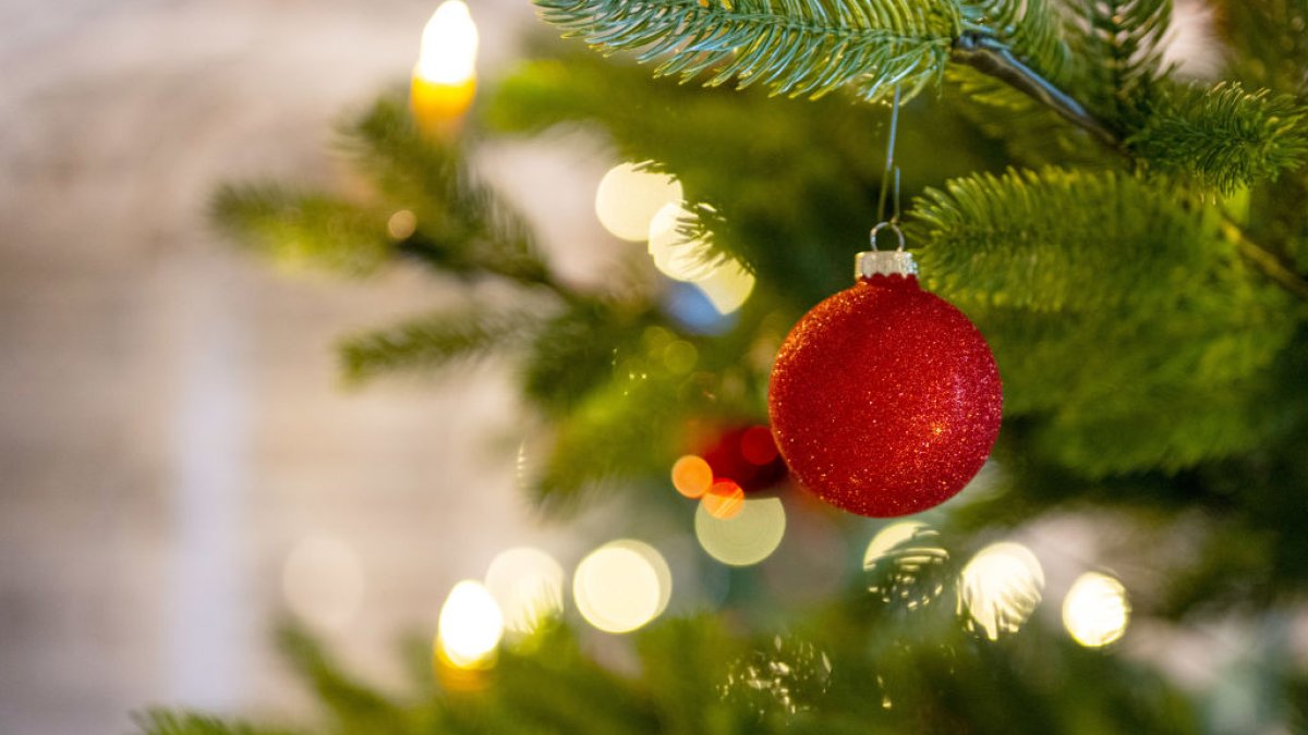 A red glitter ornament hanging on a lit Christmas tree (illustrative image). Photo: Getty Images via NBC Los Angeles.
