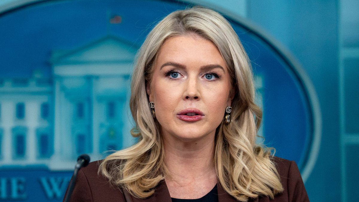 White House press secretary Karoline Leavitt's relative detained by ICE 1