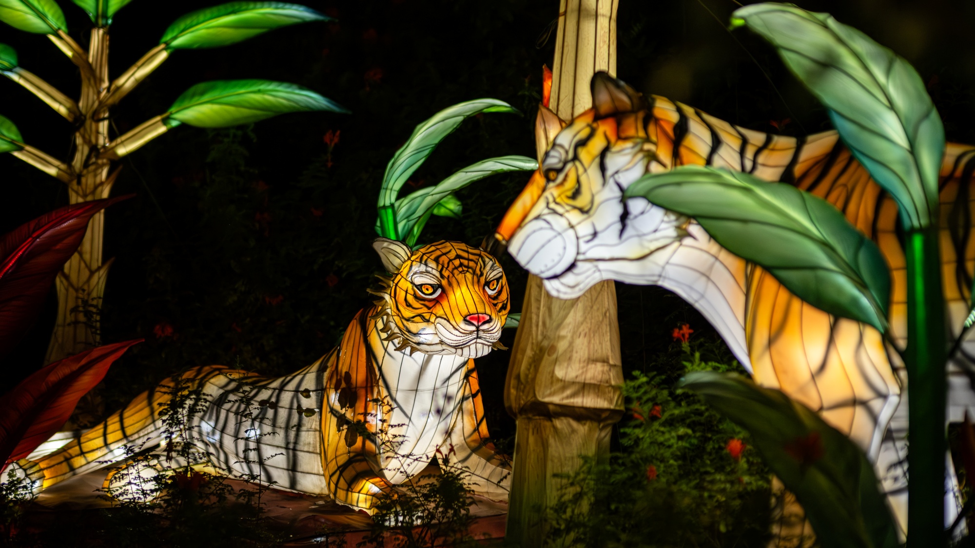 Animal-shaped lanterns and holiday lights shimmer at LA Zoo's