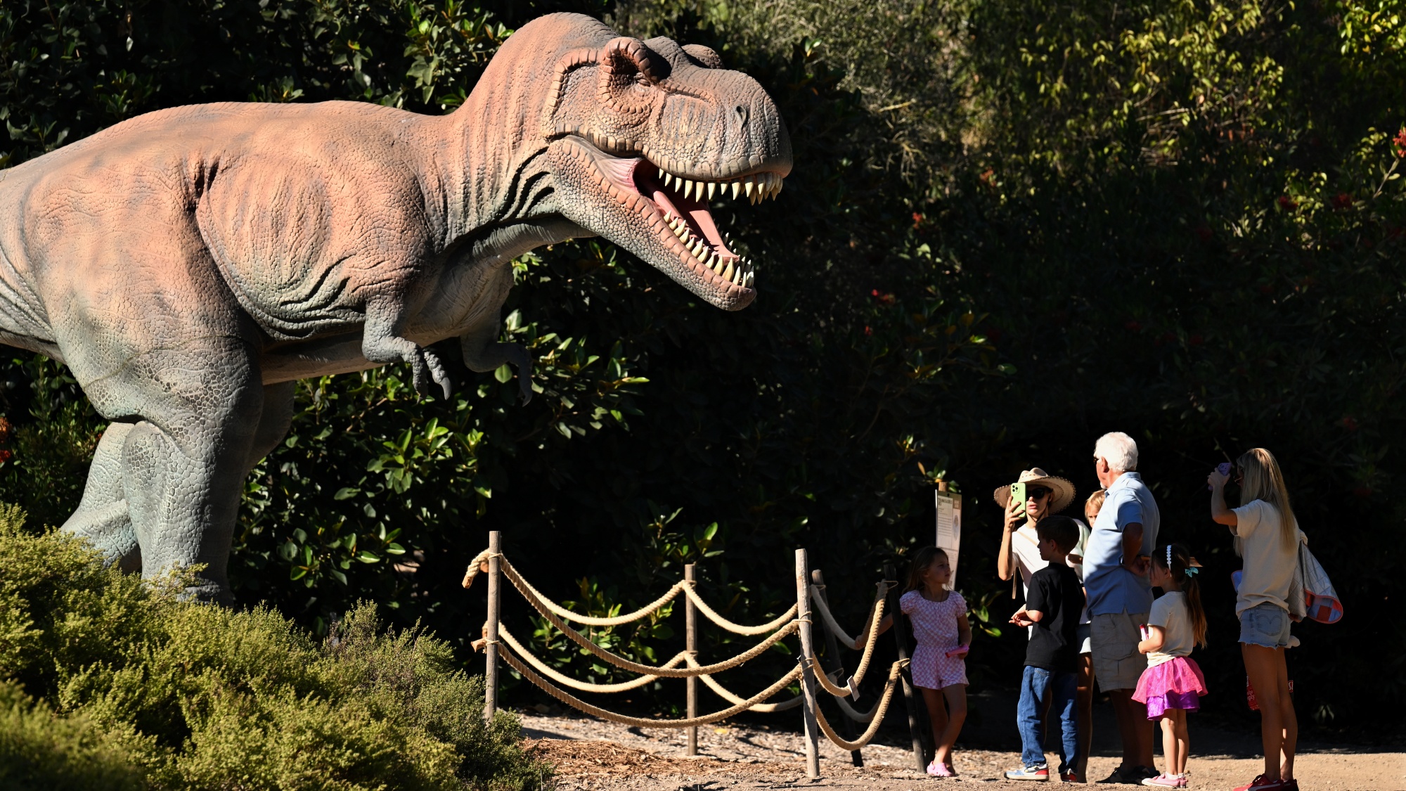 WS2_1406.jpg?quality=85&strip=