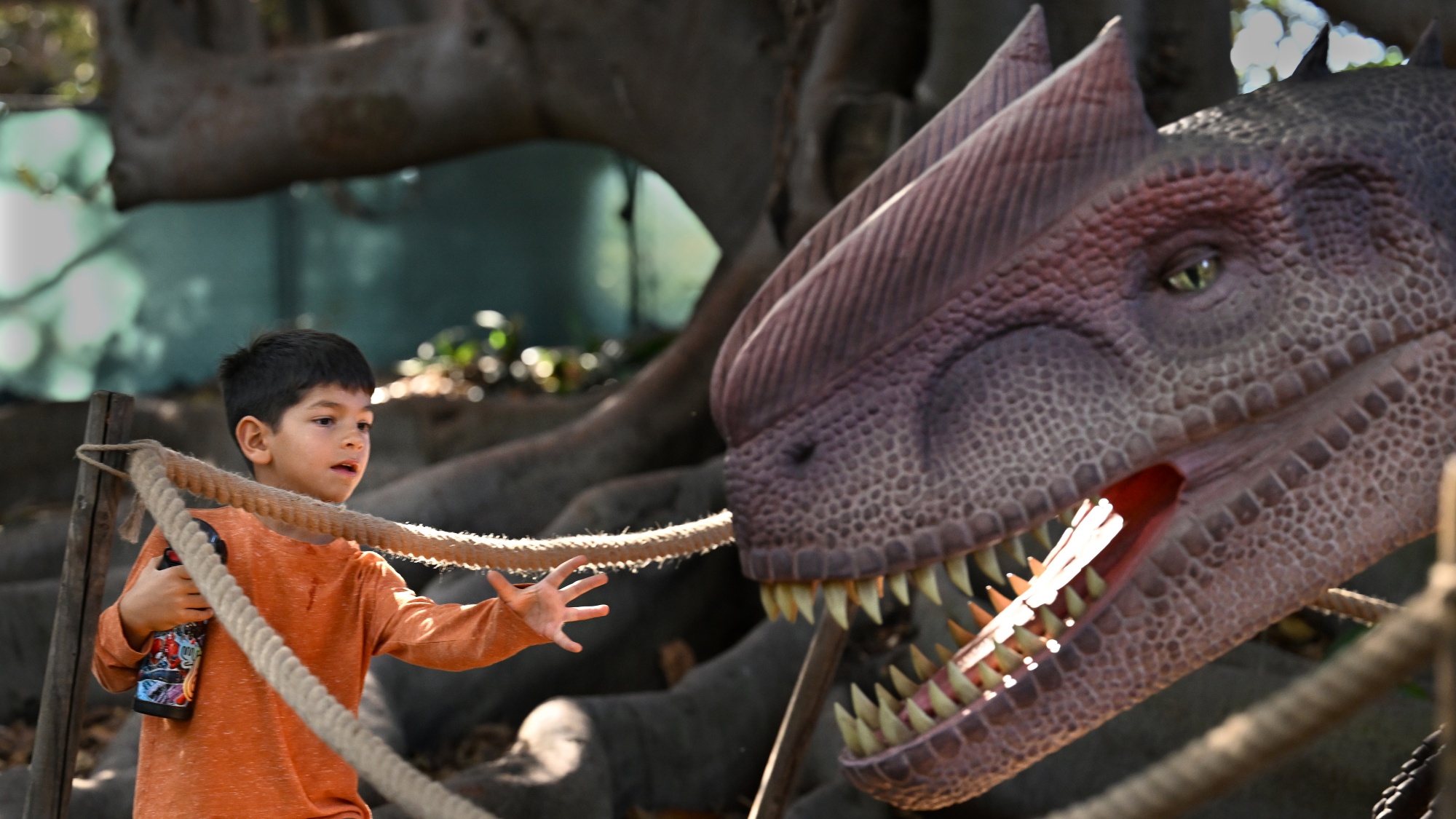 A prehistoric pack of 13 dinos — they're animatronic — are ruling