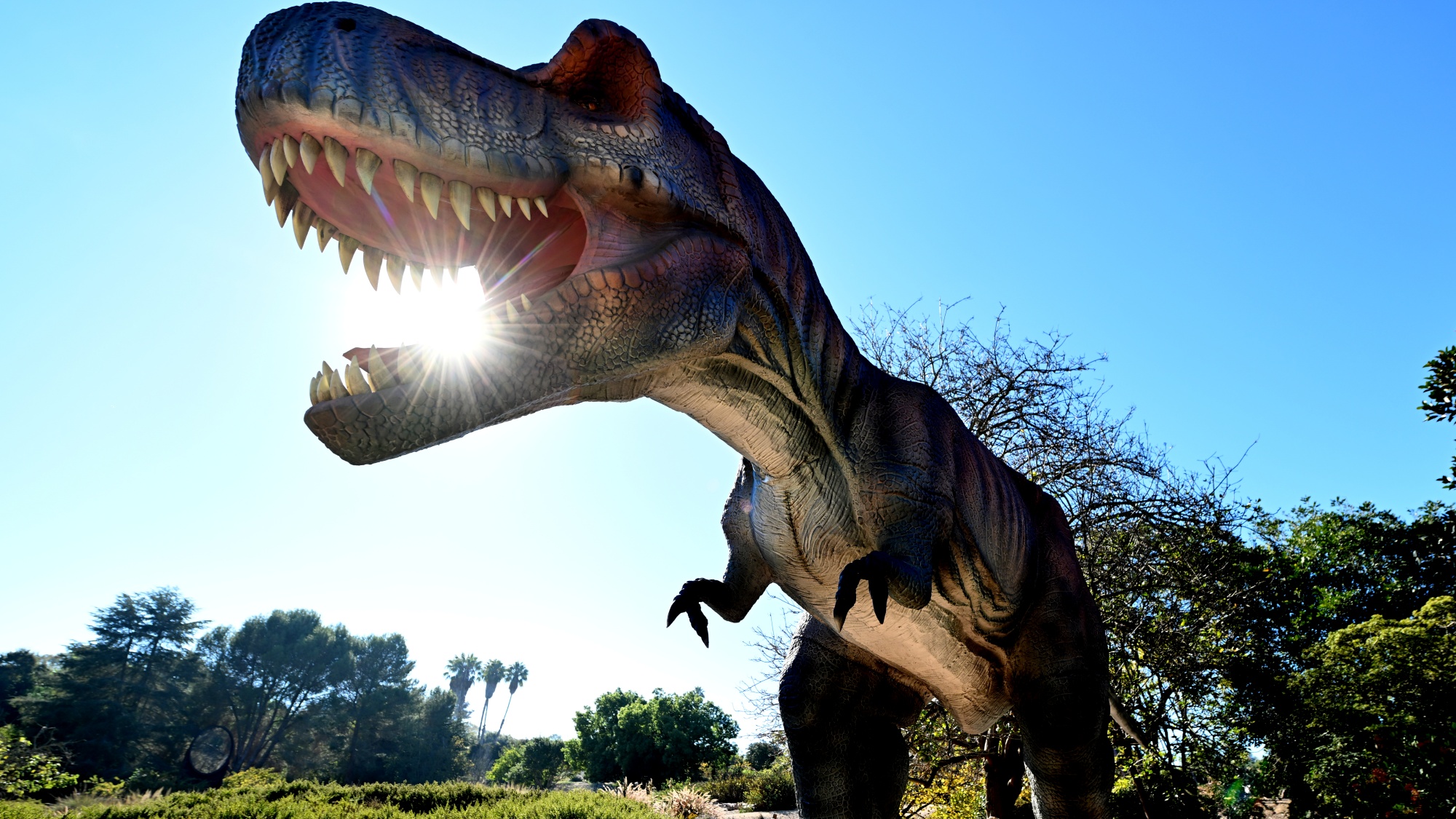 A prehistoric pack of 13 dinos — they're animatronic — are ruling