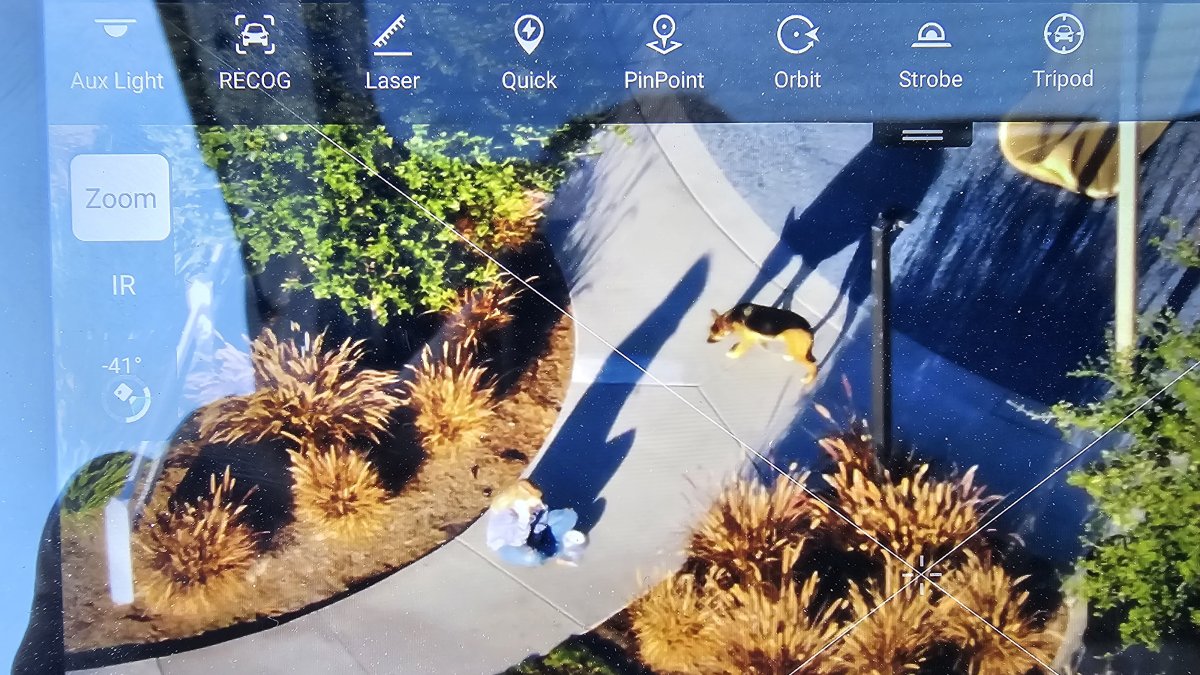 Drone helps to unite a lost dog with her owner in Mission Viejo – NBC Los Angeles