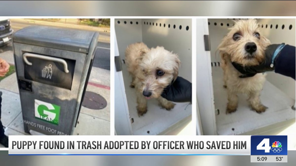 Puppy found in trash can in Gardena is adopted by the officer who saved him  – NBC Los Angeles