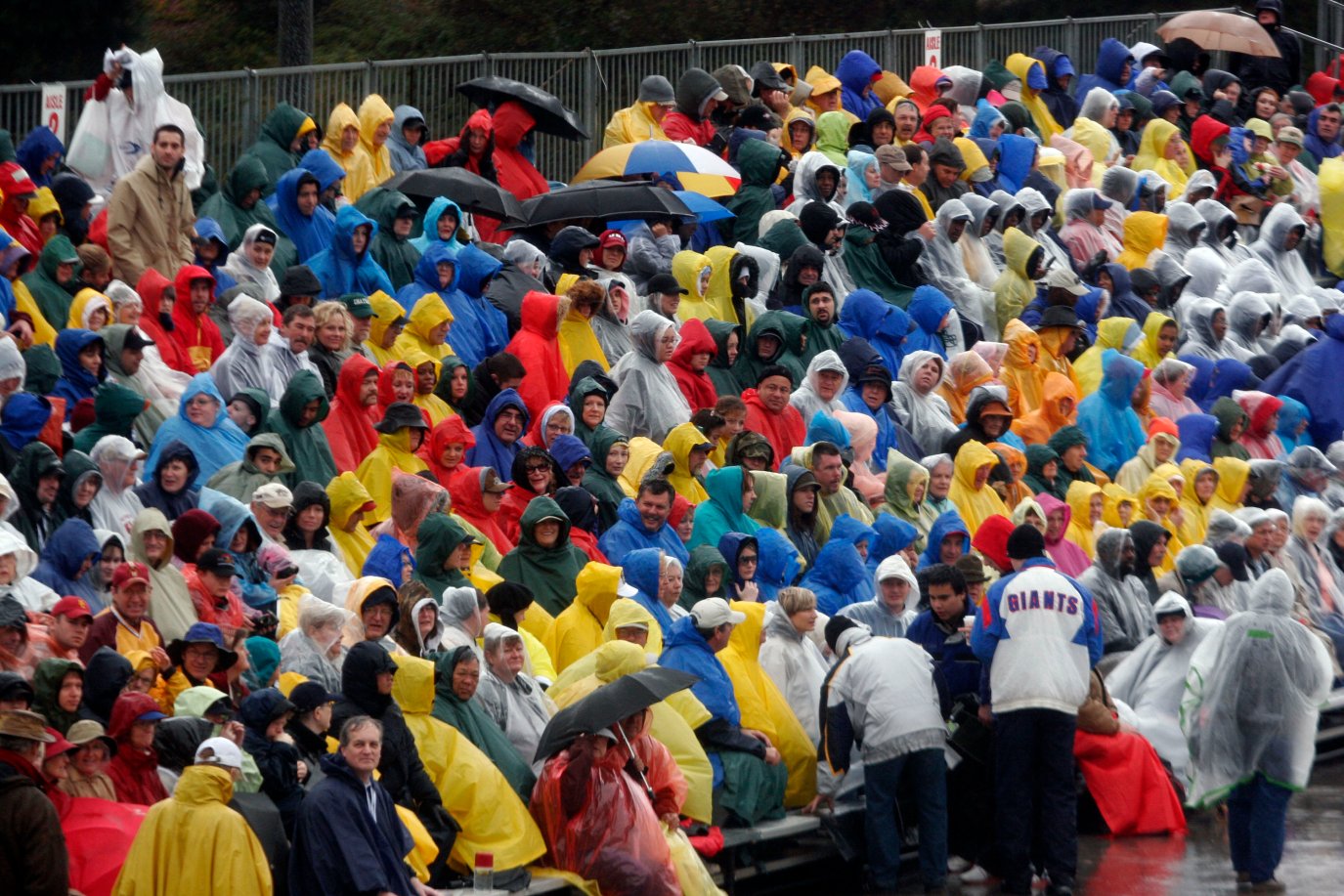 Stone Roses Rain Parade What to know about the 2026 Tournament of Roses Parade – NBC Los Angeles