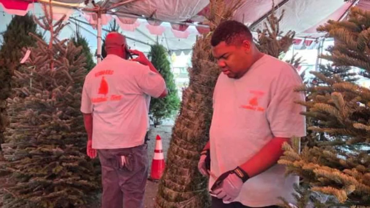 An Anaheim tree lot is doing much more than spreading holiday cheer, it’s creating an opportunity for people who often struggle to find work.