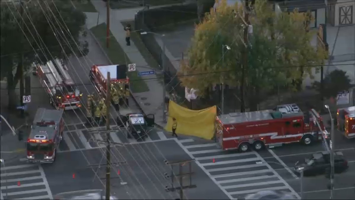 Tree trimmer impaled after falling on the job in Canoga Park