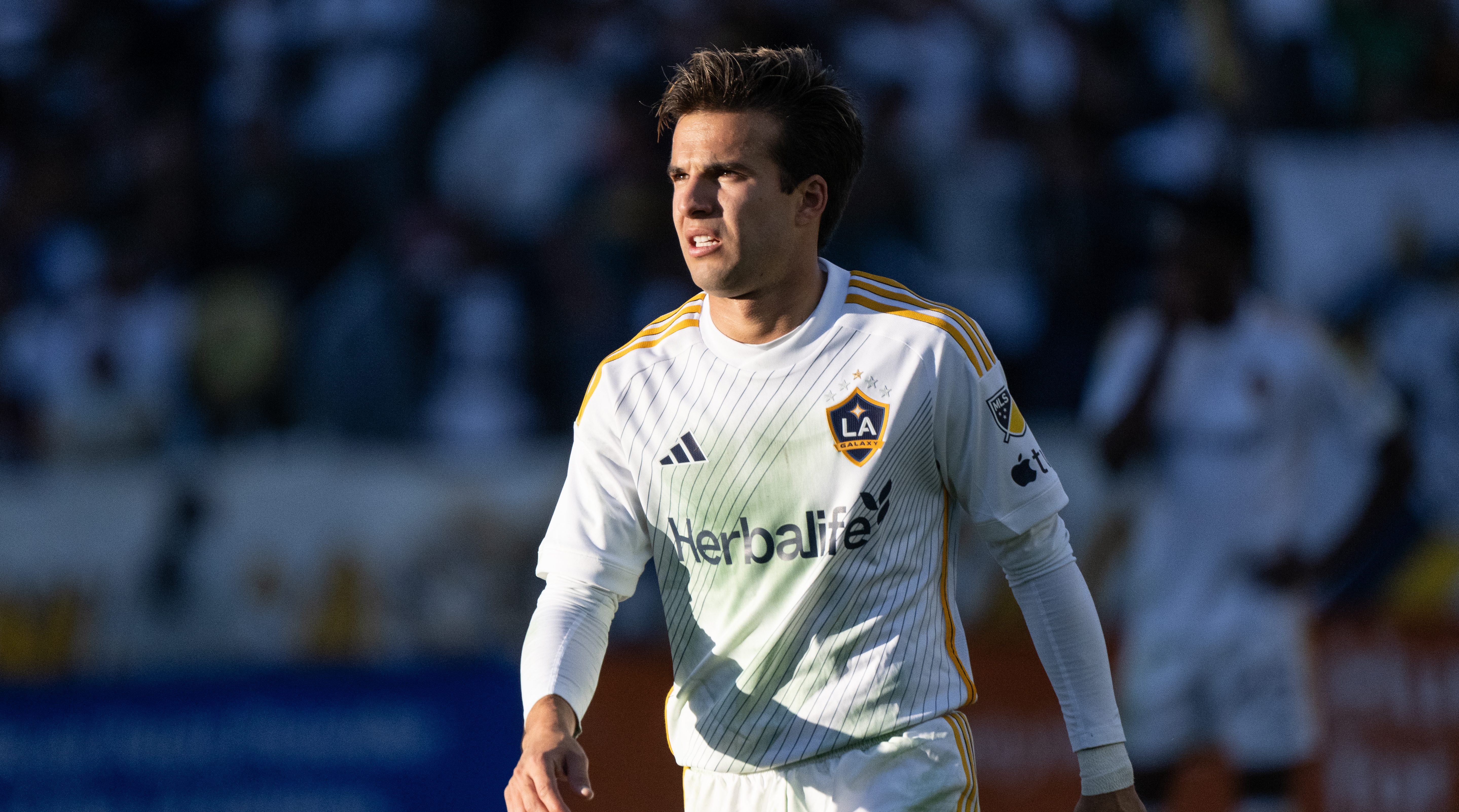 Phylogenetic analysis and revision of the leafhopper genus Acuera DeLong \u0026  Freytag (Hemiptera: Cicadellidae: Gyponini) based on morphological data, image size:5757x3205