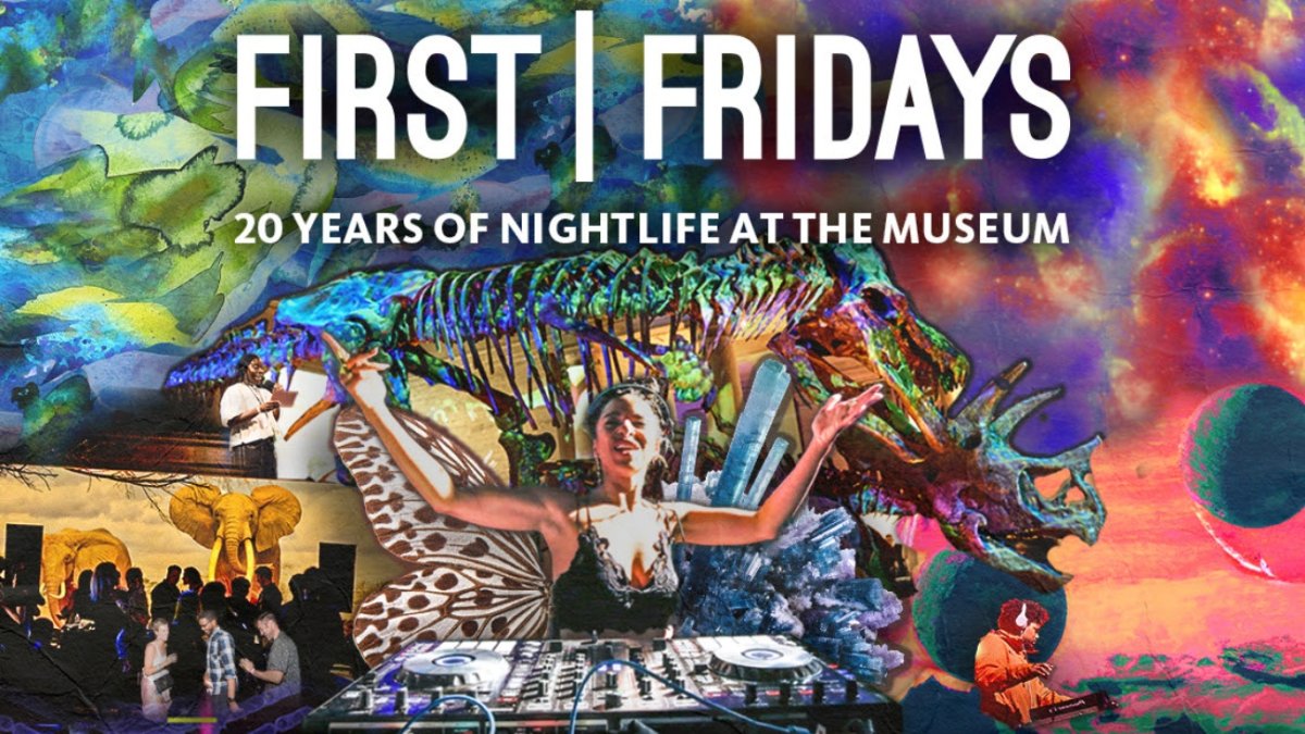 Happy 20th to ‘First Fridays,' the Natural History Museum's after-hours series
