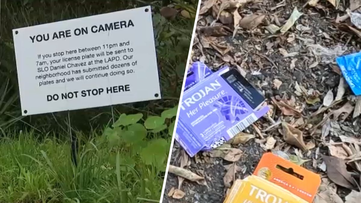 ‘disgusting.' Larchmont frequented by sex buyers and traffickers, neighbors say