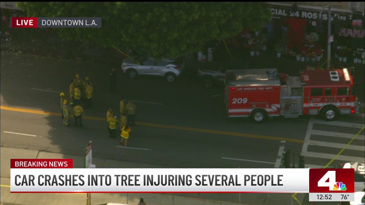 Six people injured after car crashes into tree, people in downtown LA ...