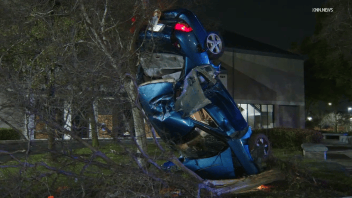 Car ends up leaning against tree in Pomona crash – NBC Los Angeles