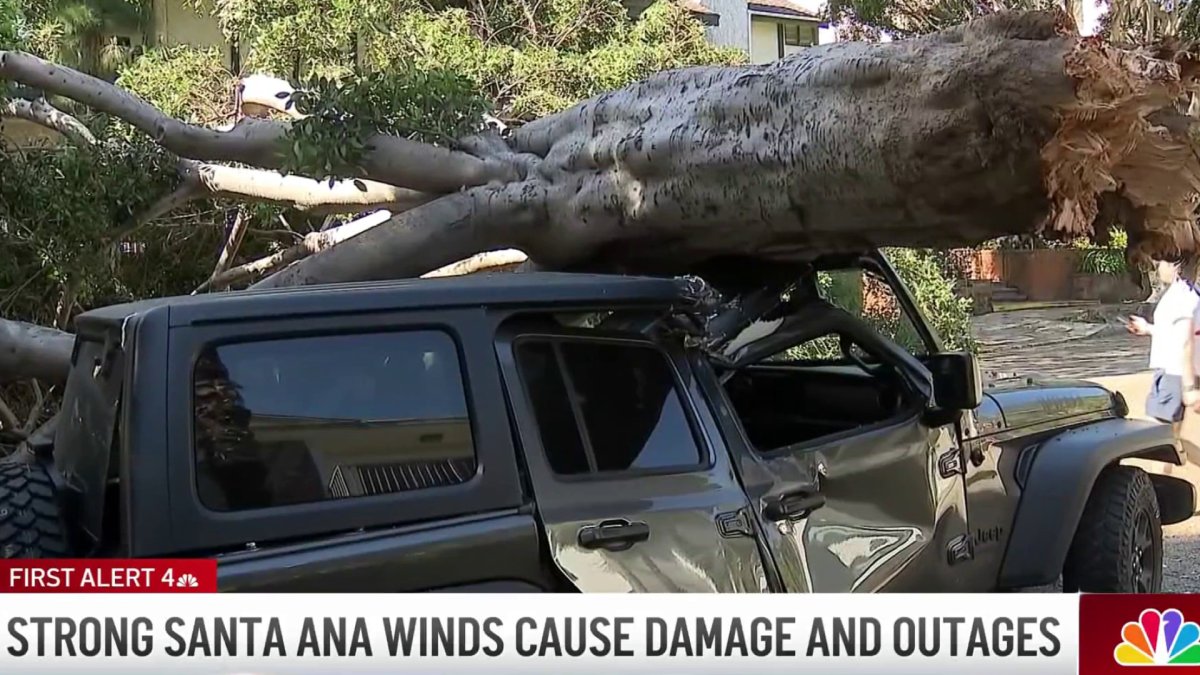 Strong winds leave trail of damage and power outages across SoCal – NBC ...