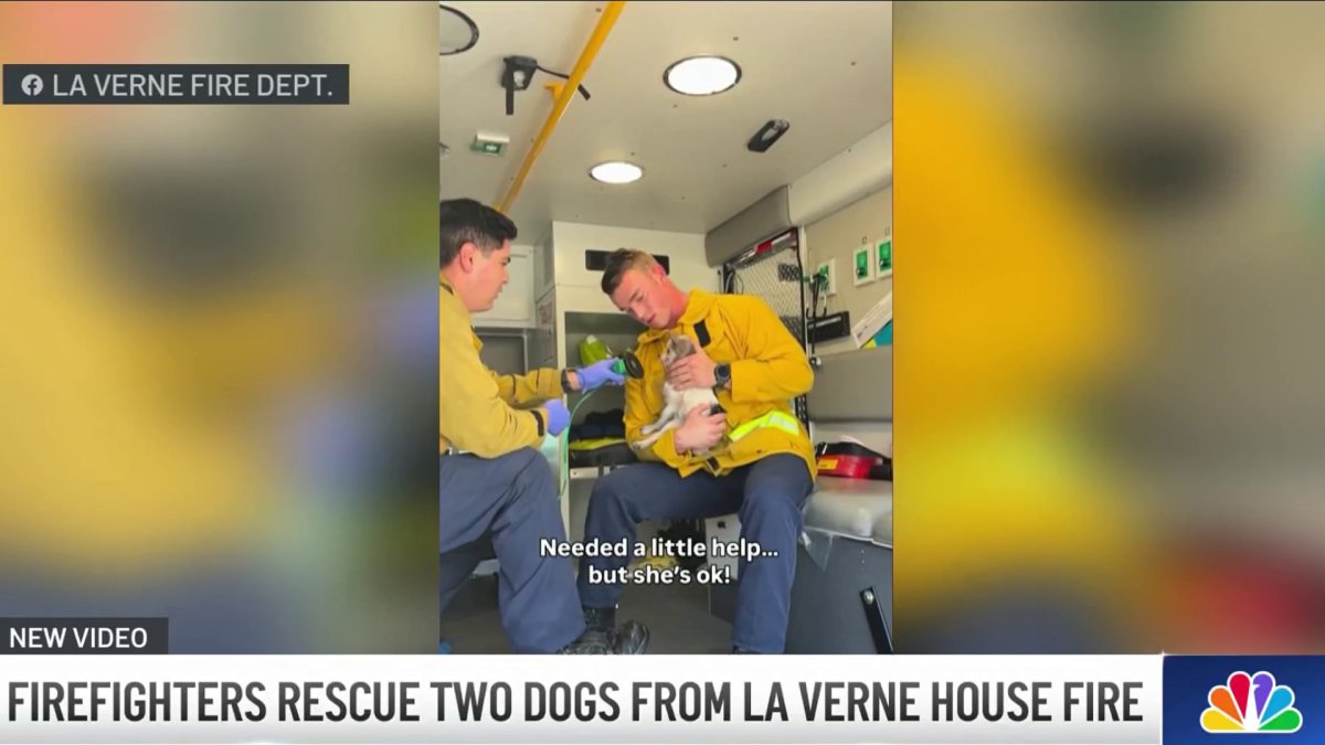 Two dogs rescued from burning home in La Verne – NBC Los Angeles