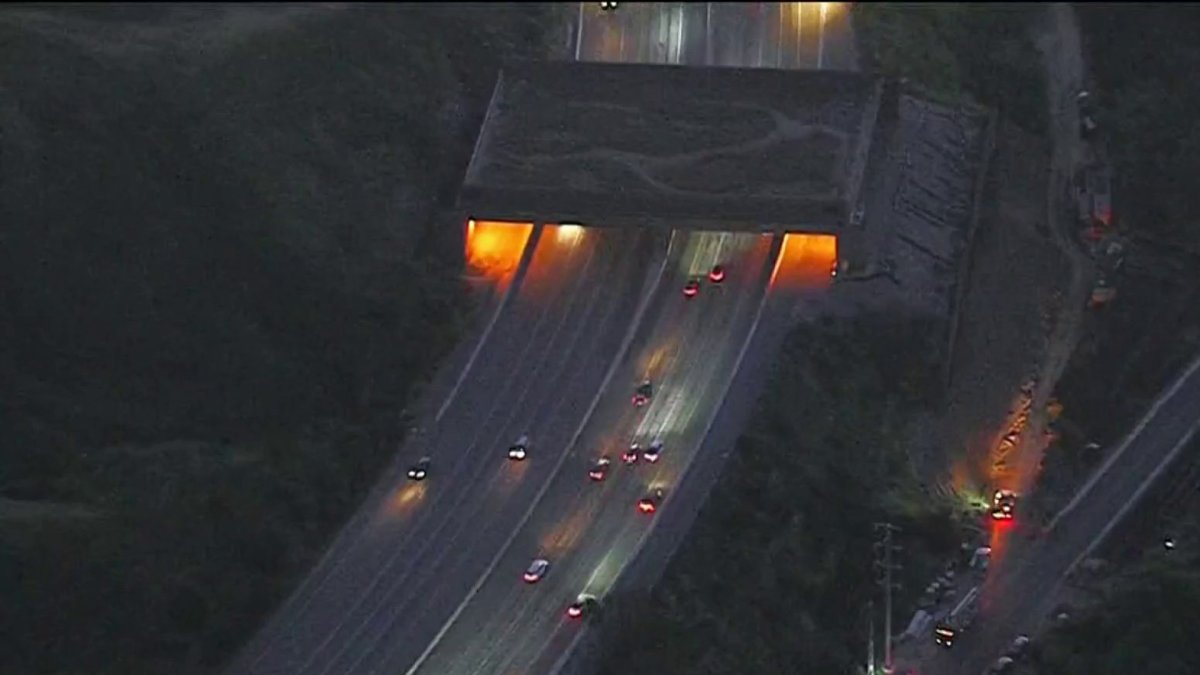 Agoura Road to close for 101 Freeway wildlife crossing work