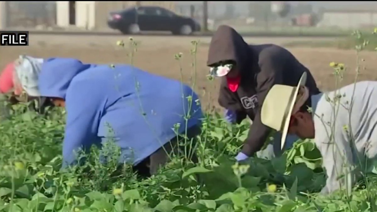 Women farmworkers raise concerns about sexual harassment and assault on the job
