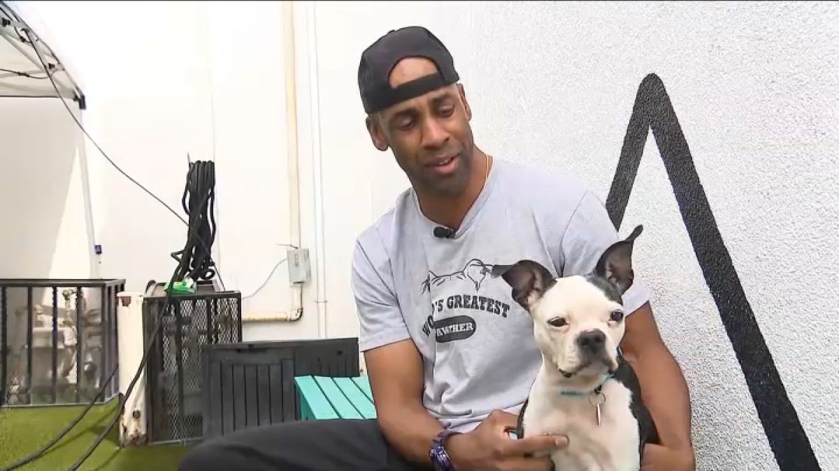 ‘Tears of joy.' Stolen dog reunites with owner after more than 3 years apart