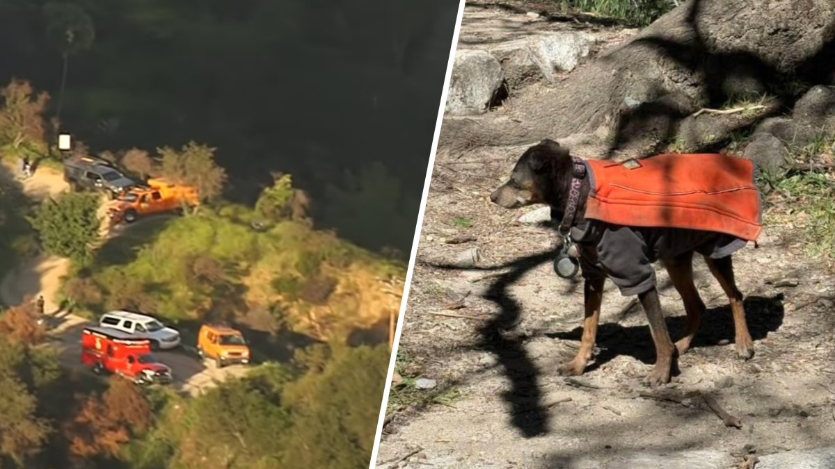 Hiker hurt trying to save dog on Mt. Wilson Trail – NBC Los Angeles