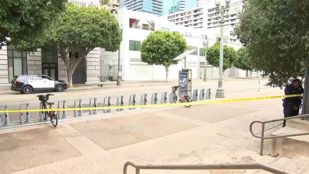 Witness helped save woman's life in downtown LA stabbing, police say