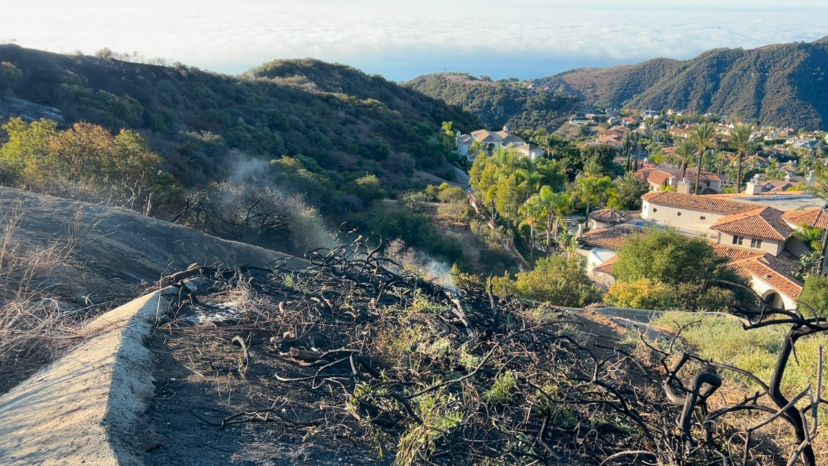 Man charged in Palisades Fire says firefighters' actions broke chain of blame