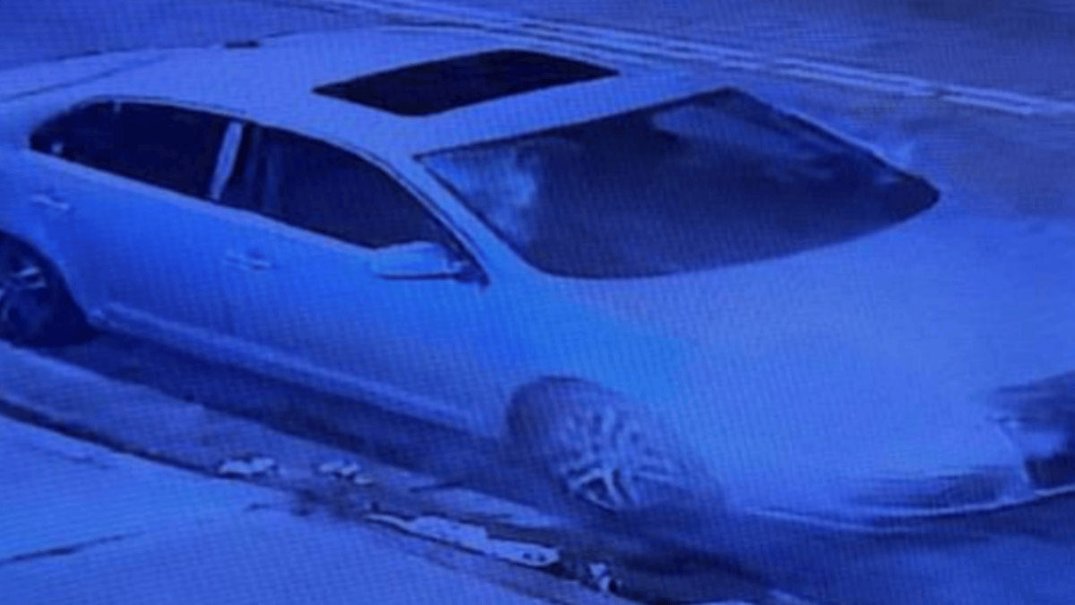 Pedestrian killed in South LA hit-and-run crash – NBC Los Angeles