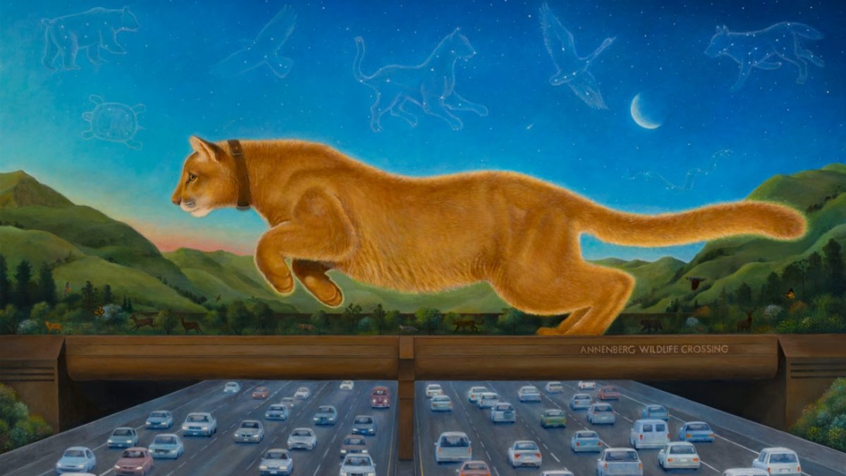 Make your guess: Which animal will cross the Annenberg Wildlife Crossing first?