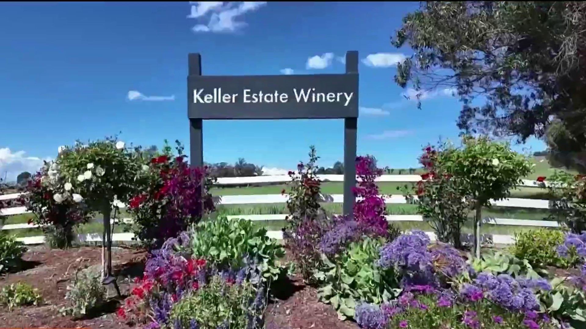 Sonoma County’s Keller Estate Winery celebrates wine & heritage
