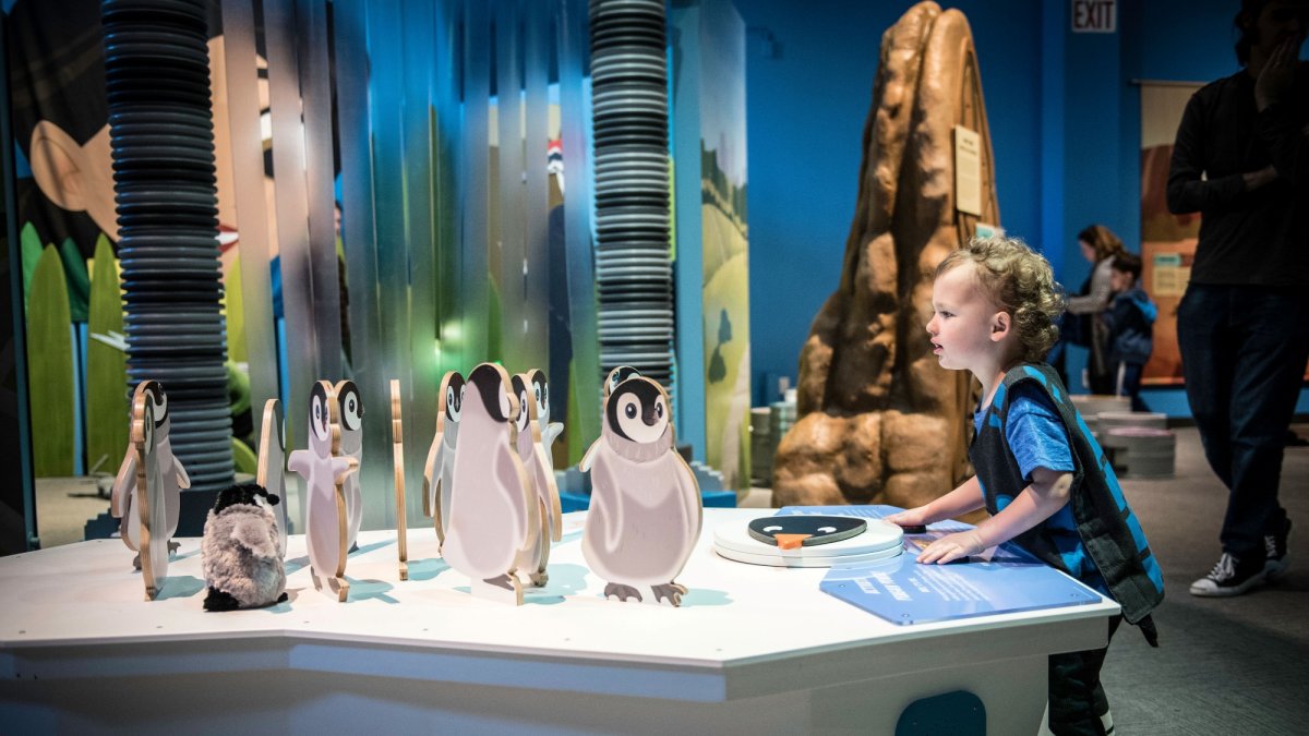 An interactive ‘Wild Kratts' exhibit brings wildlife fun to Discovery Cube LA