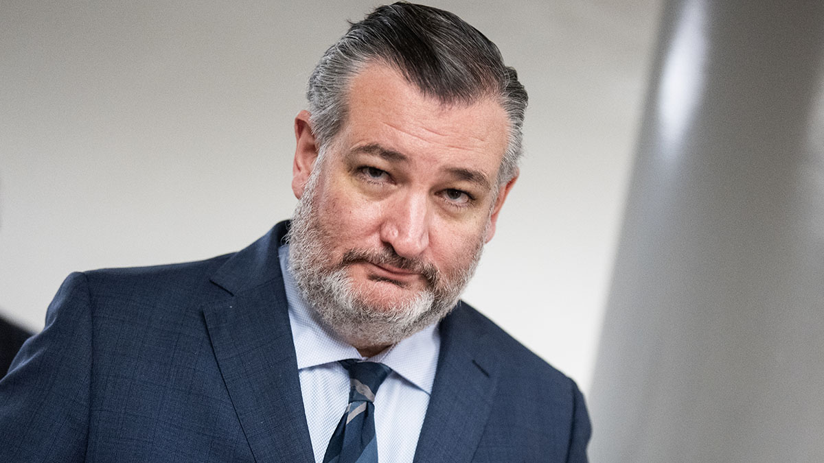 Ted Cruz says GOP senators were ‘screaming' at Todd Blanche during ‘anti-weaponization' fund briefing