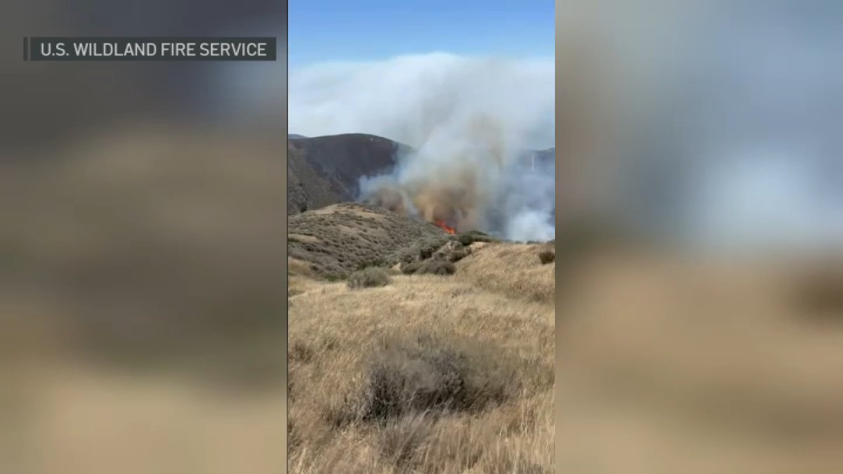 Wildfire scorches more than 14K acres on Santa Rosa Island: Cal Fire
