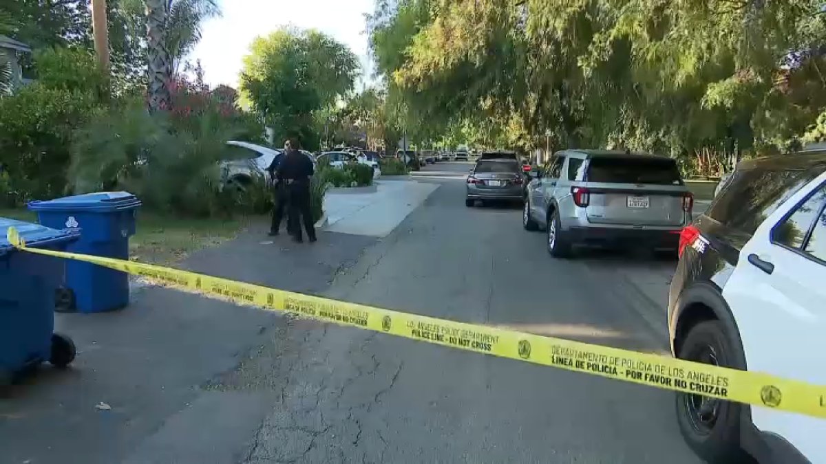 Cause of death determined for 4-year-old girl left in van in Valley Village