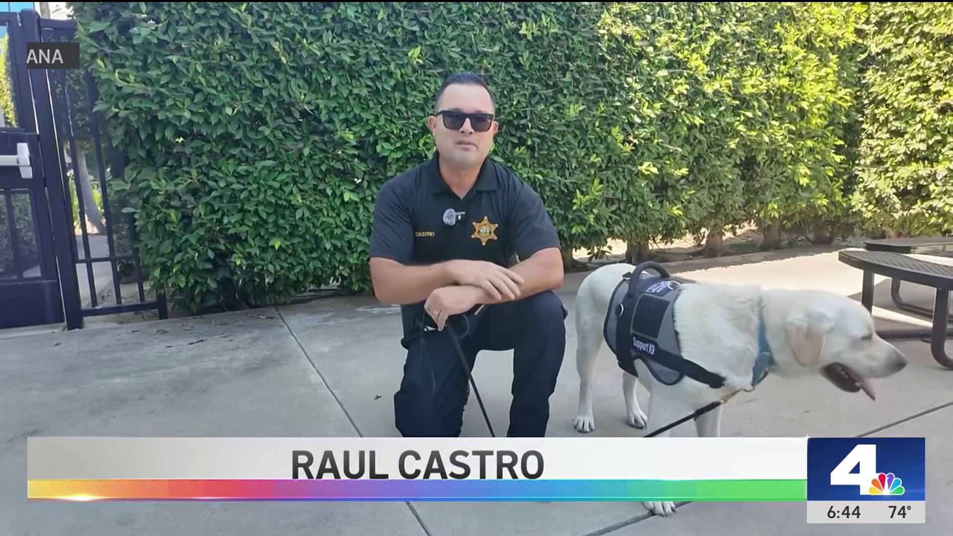 New K-9s to comfort victims, staff in Orange County – NBC Los Angeles