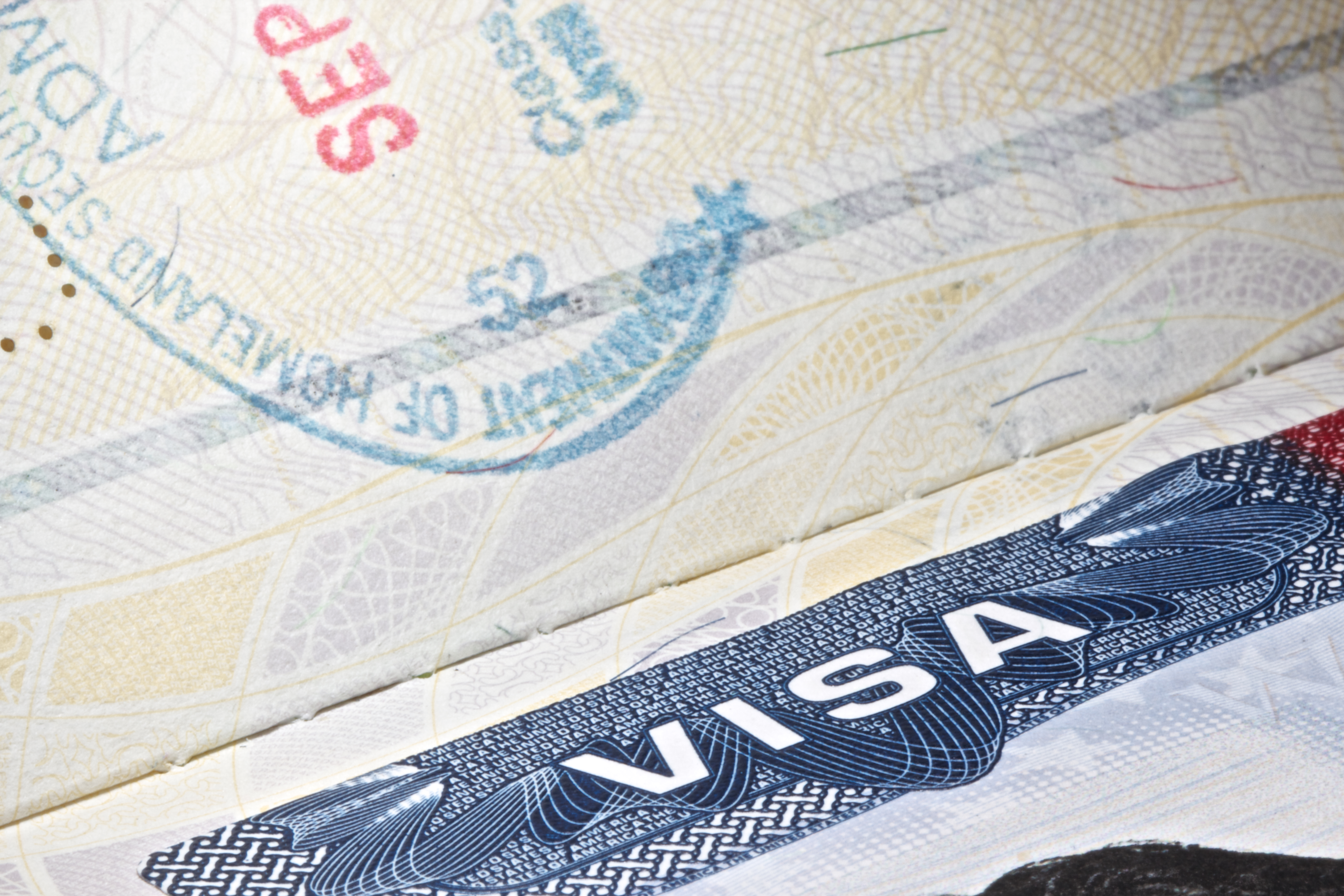 U.S. starts revoking visas allegedly tied to ‘birth tourism' network