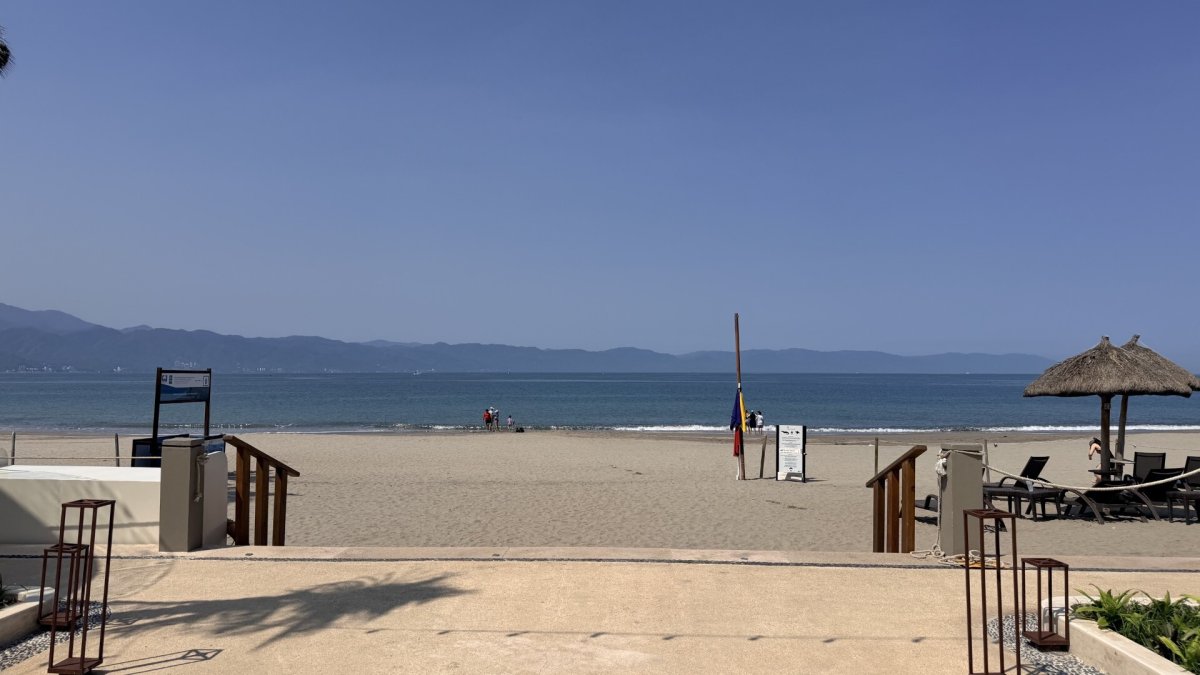 San Clemente family witnesses deadly crocodile attack in Puerto Vallarta