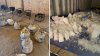 Massive methamphetamine bust in Palmdale