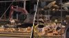 Rotting food from Boyle Height warehouse being cleared out, LA officials say