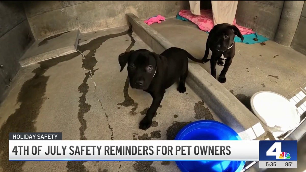 Why many pets escape home during Fourth of July