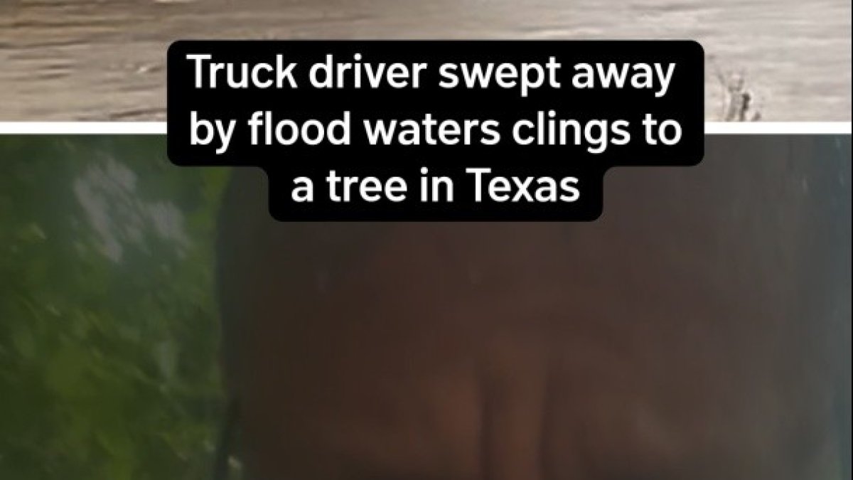 Truck driver swept away by flood waters clings to a tree in Texas