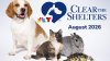 NBC's Clear The Shelters returns for 12th pet adoption and donation campaign