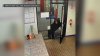 Small bear caught on video wandering into office in San Bernardino County
