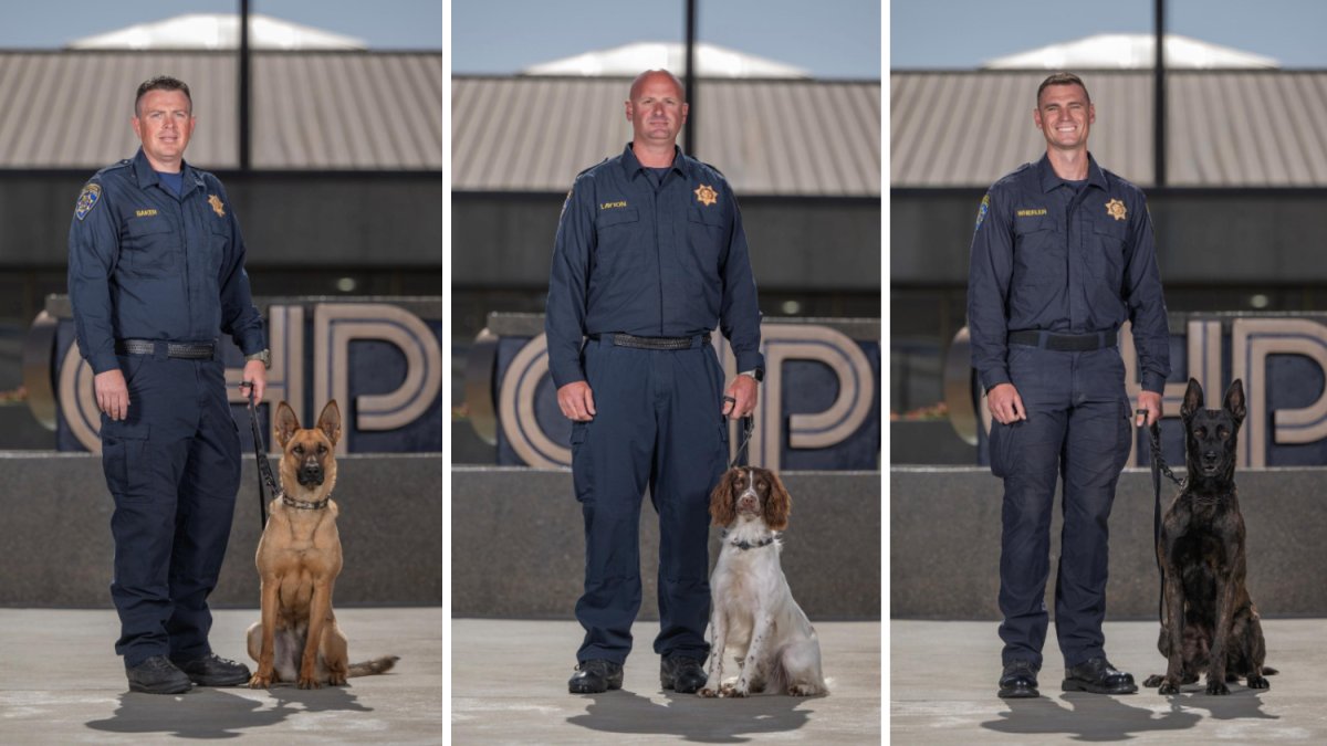 CHP welcomes 6 new K-9s to its team