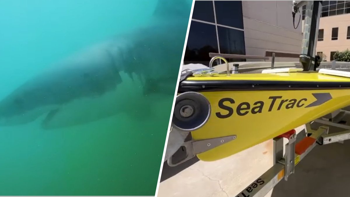 See solar-powered drone that will monitor sharks during 2028 LA Olympics