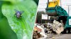 Exclusive: Report warns flies breeding at Boyle Heights warehouse could spread disease